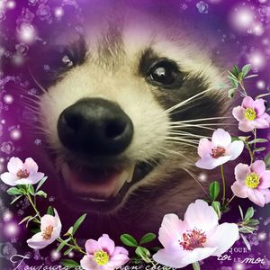 Meet your Posher, George